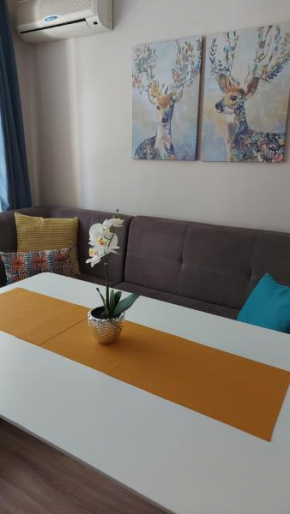 HostEx Meraki Apartment